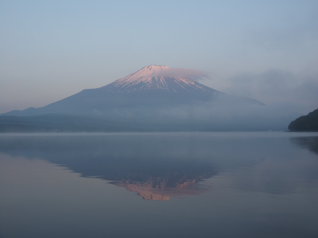 6/19 ���Ă��̕x�m�R