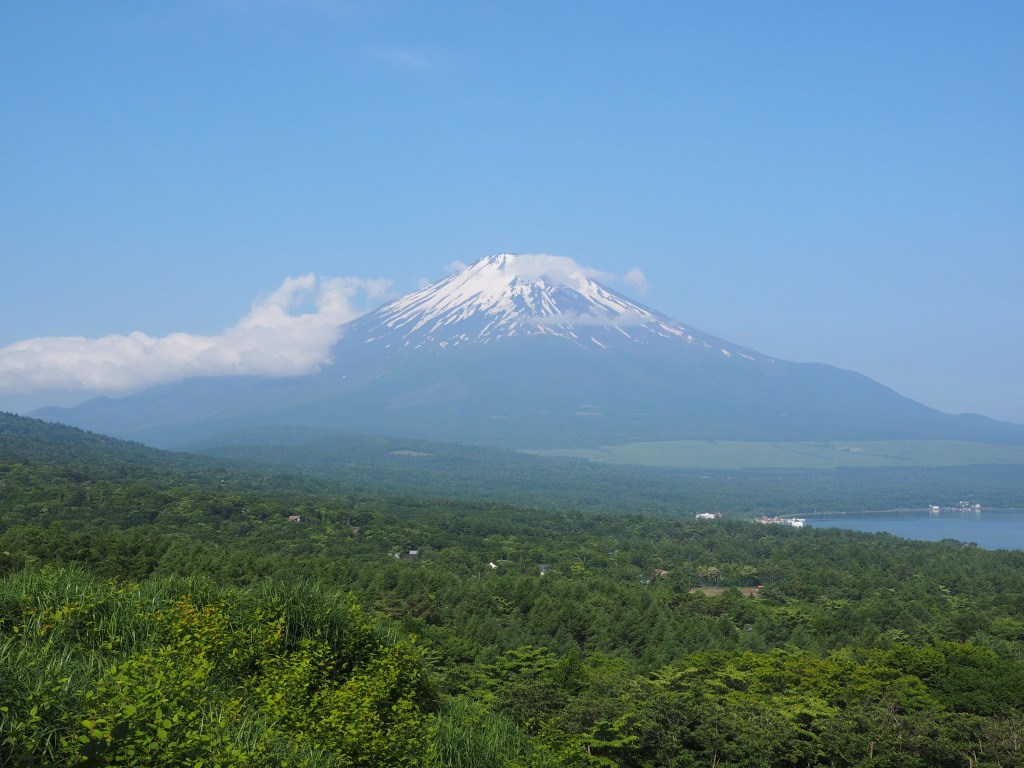 6/19 �V�΂̕x�m�R