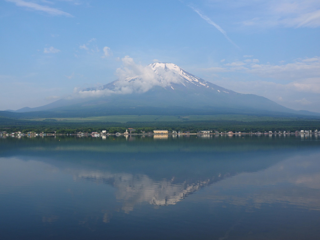 6/20 �t���x�m(2)