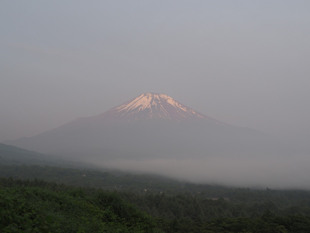 7/3 �_�C�̒��Ă��ƕx�m�R