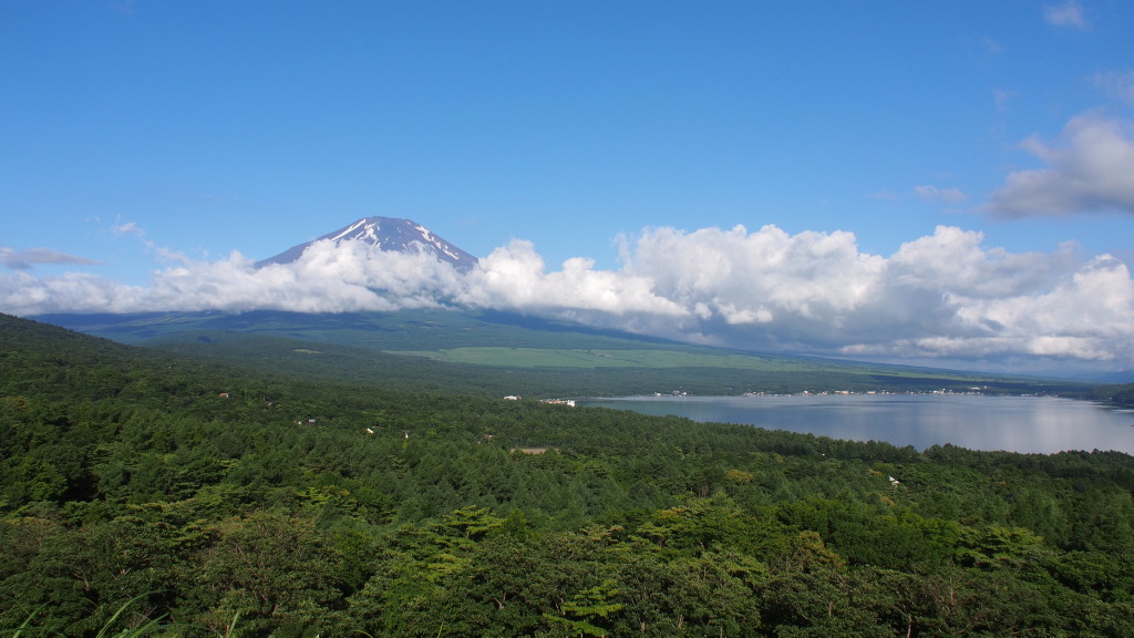 7/12 �V�΂̕x�m�R