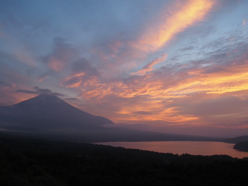 7/12 �[�Ă��̕x�m�R