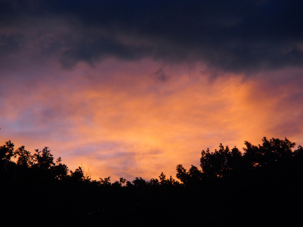 7/14 ���Ă��̓��̋�