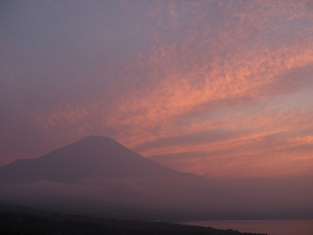 7/30 �[�Ă��̕x�m�R