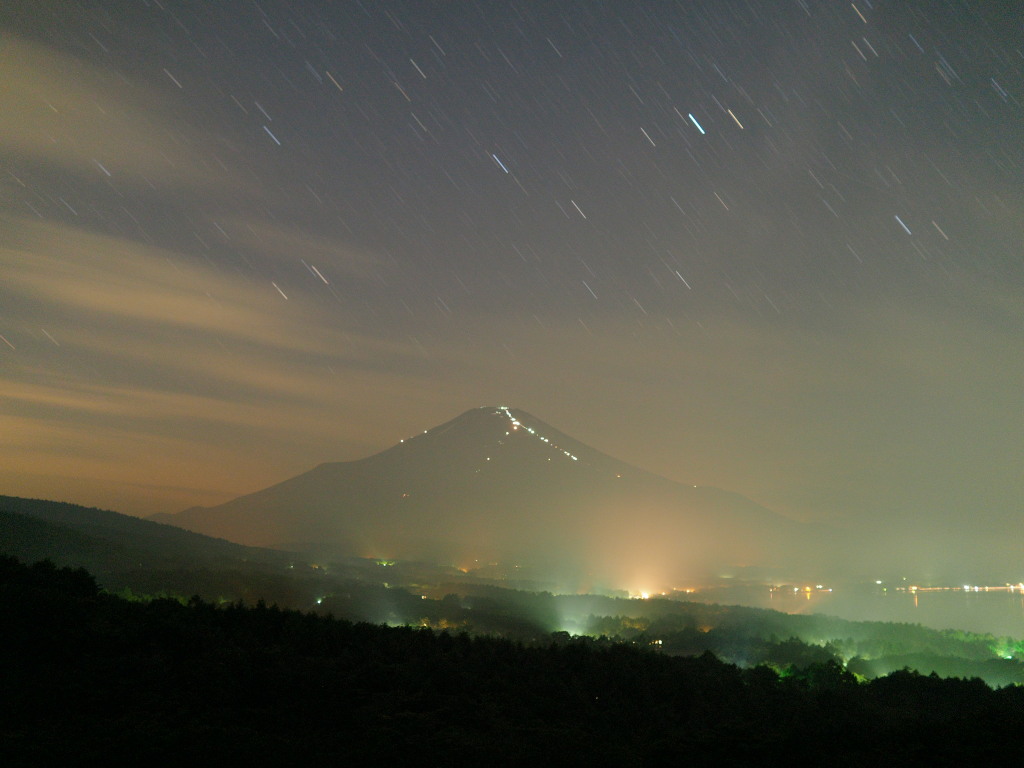 7/31 ��i�̕x�m�R