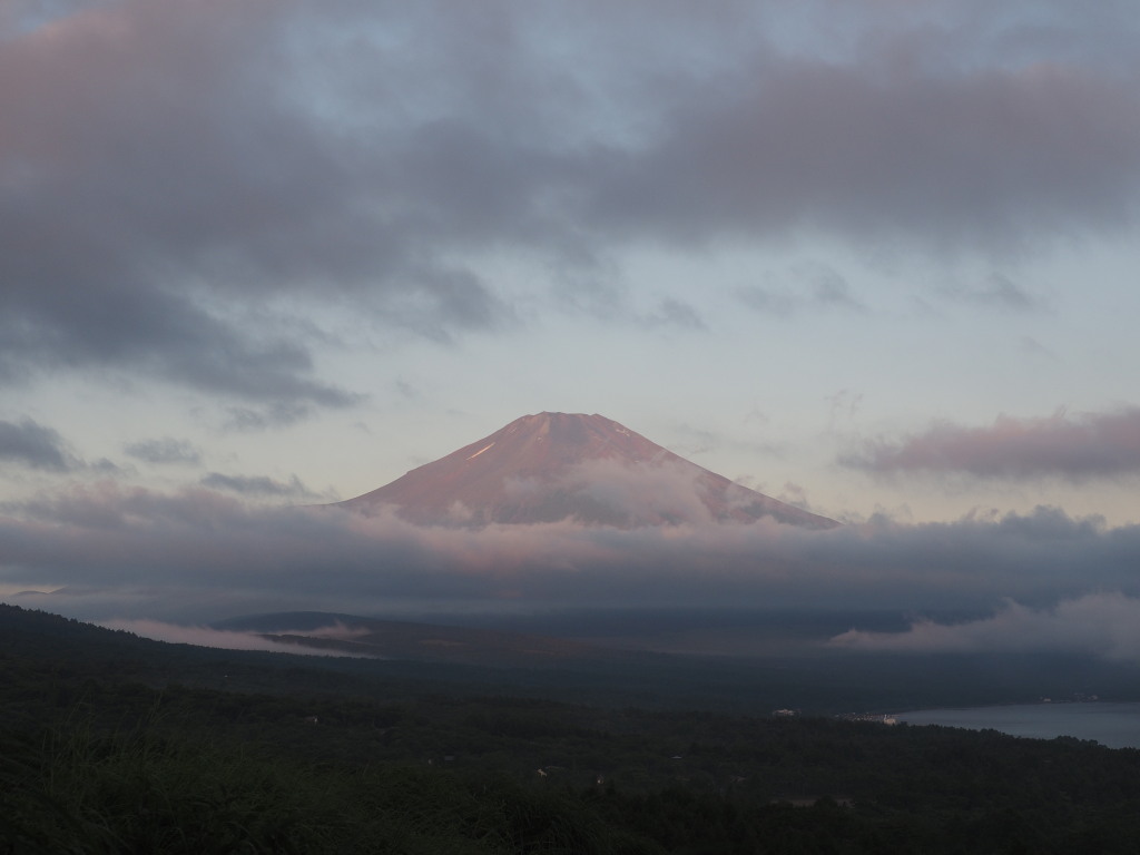 8/7 �ق�̂蒩�Ă��̕x�m�R