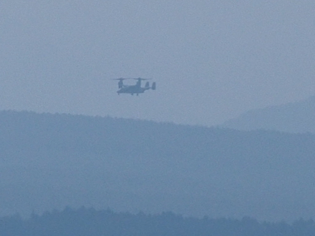 8/21 �I�X�v���C�P��