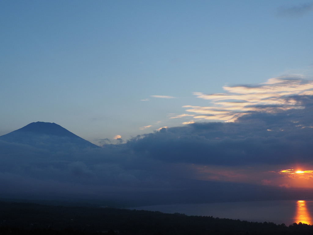 8/21 ���̓���̕x�m�R