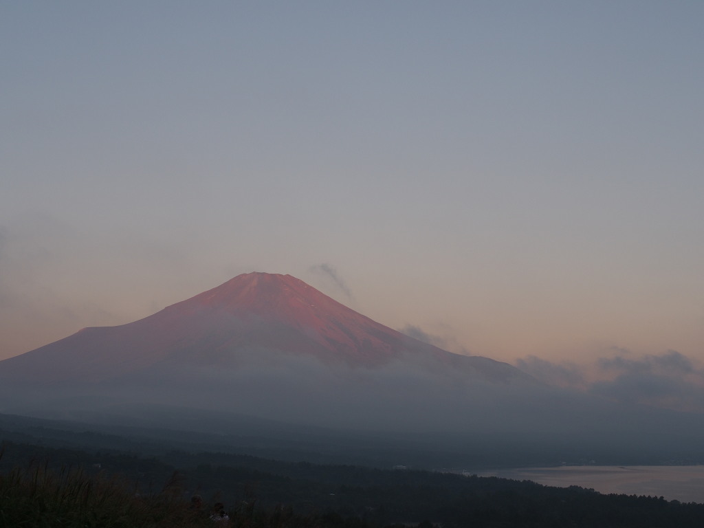 8/22 ���Ă��̕x�m�R