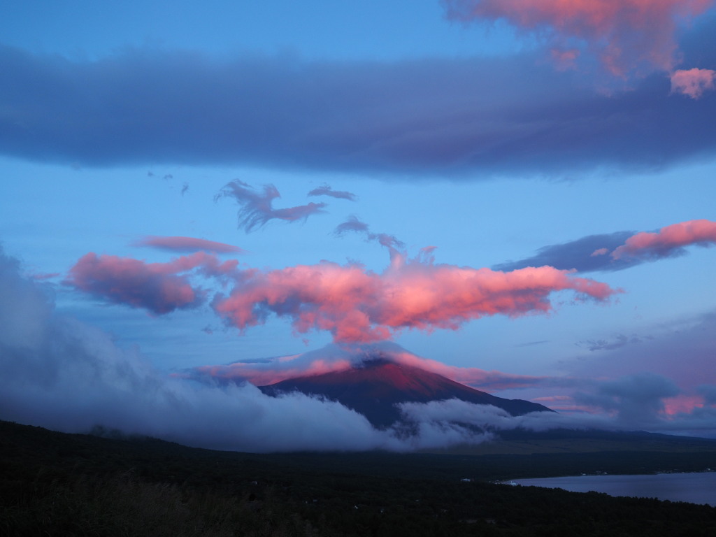 8/23 ���Ă��̕x�m�R