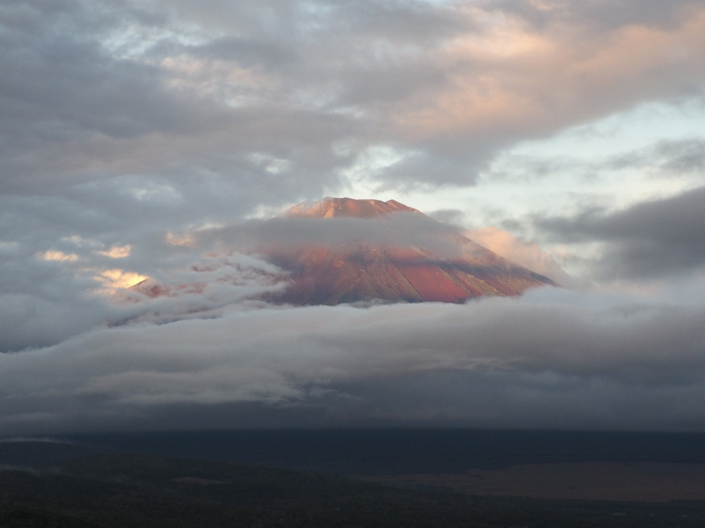 9/26 ������Ƃ����̕x�m�R