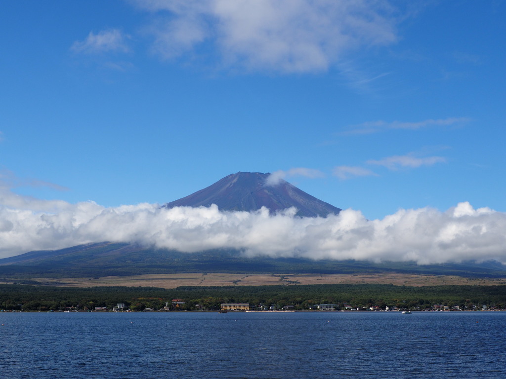 9/26 ���r����̕x�m�R