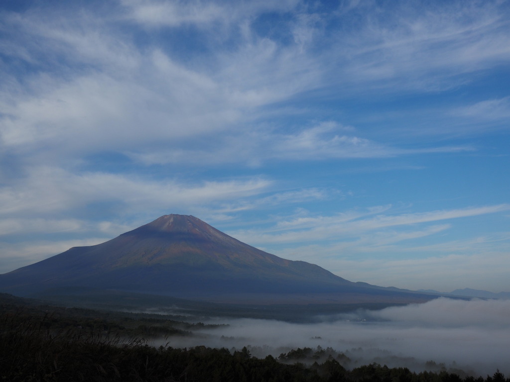 10/10 �_�C�ƕx�m�R