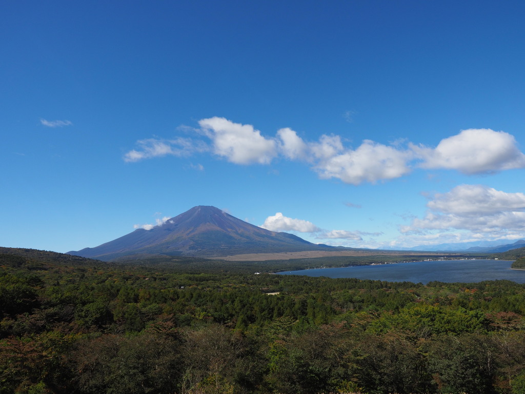 10/14 �_�ƕx�m�R