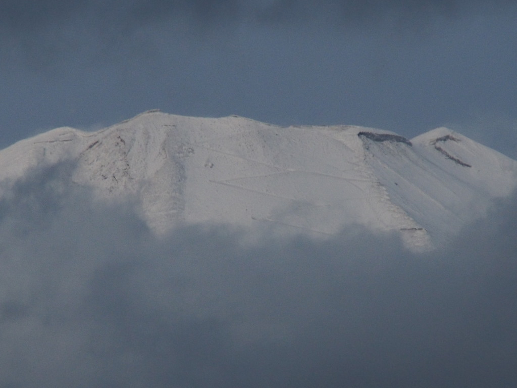 10/16 ������̕x�m�R