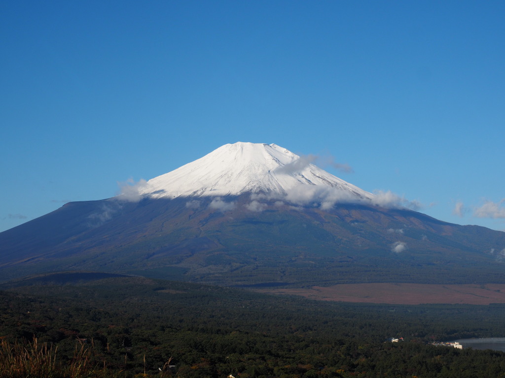 10/16 �Y��ȕx�m�R