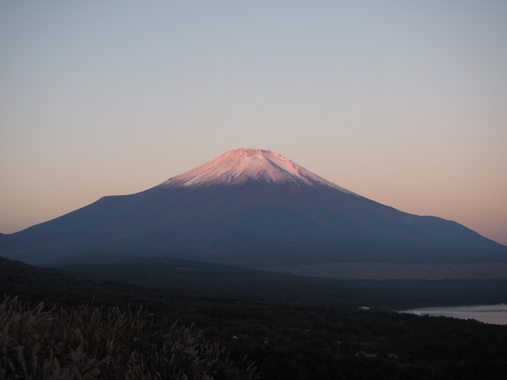 10/17 �ق�̂�g�x�m