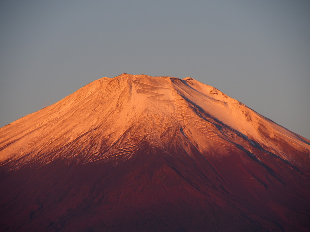 10/17 �I�����W�F�̕x�m�R