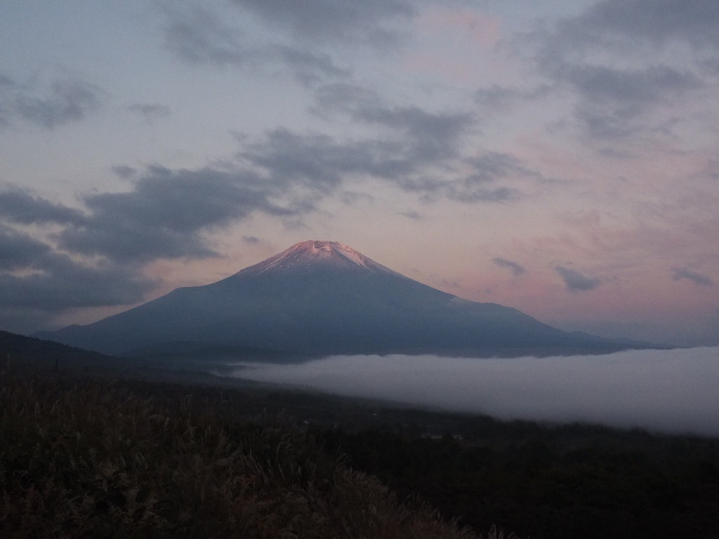 10/18 �ق�̂�g�x�m