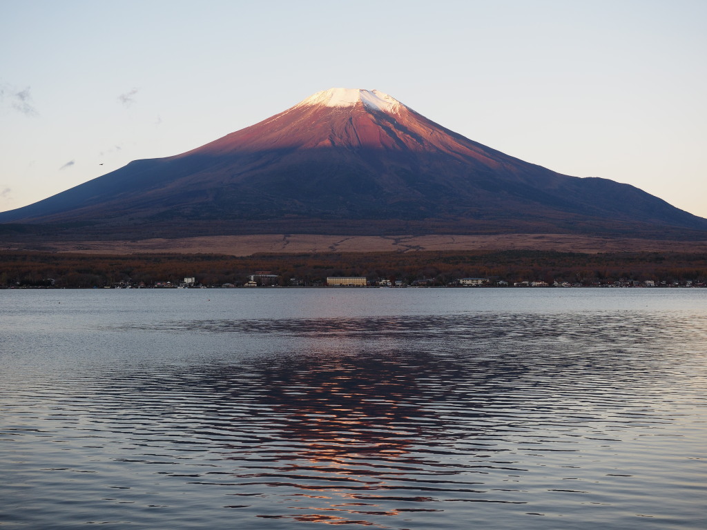 11/7 ���Ă��̕x�m�R