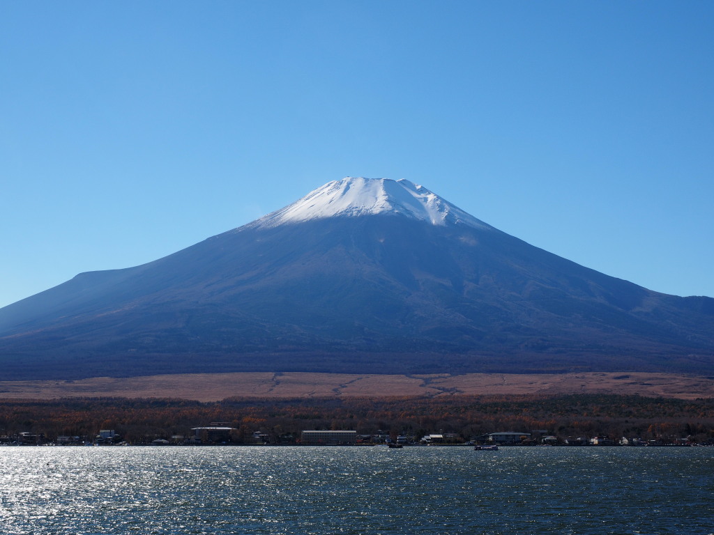 11/13 �s�[�J���̕x�m�R