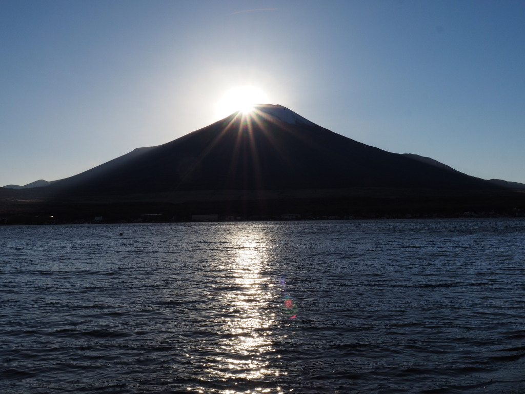 11/13 ������ɒ��ރ_�C�������h�x�m(2)