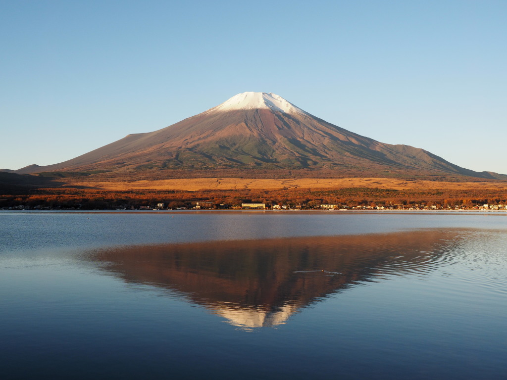 11/14 ����������x�m�R