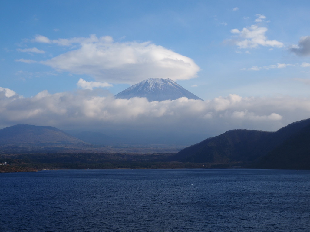 11/16 �{���΂���̎P�_�ƕx�m�R