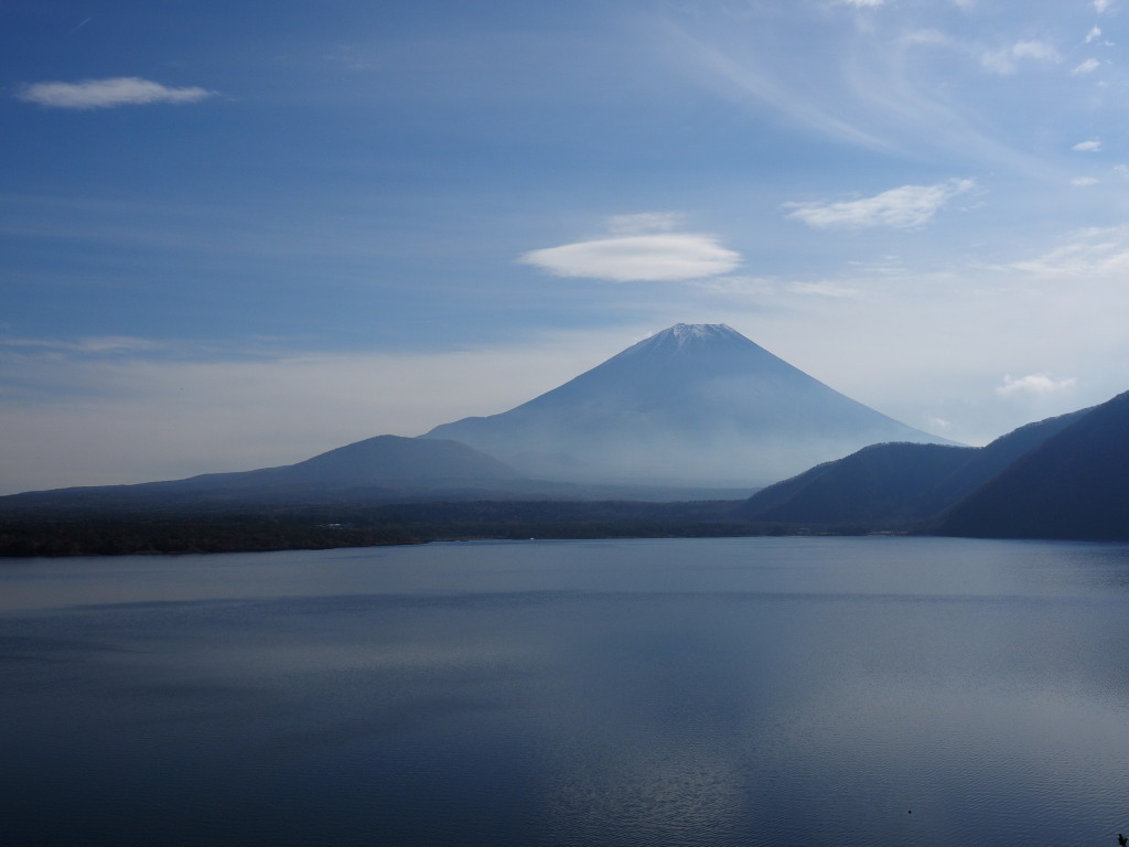 11/16 �_�ƕx�m�R