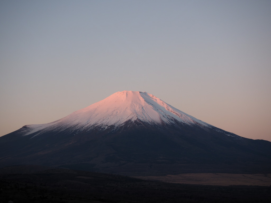 12/3 �ق�̂�g�x�m