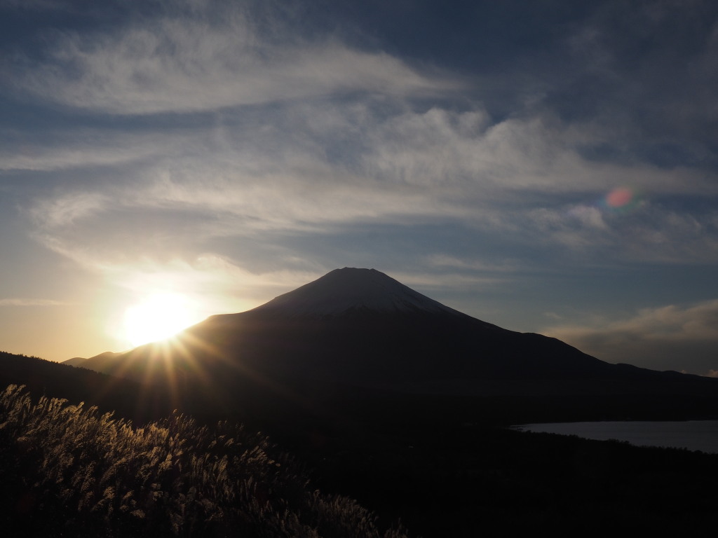 12/3 ���̓���̕x�m�R