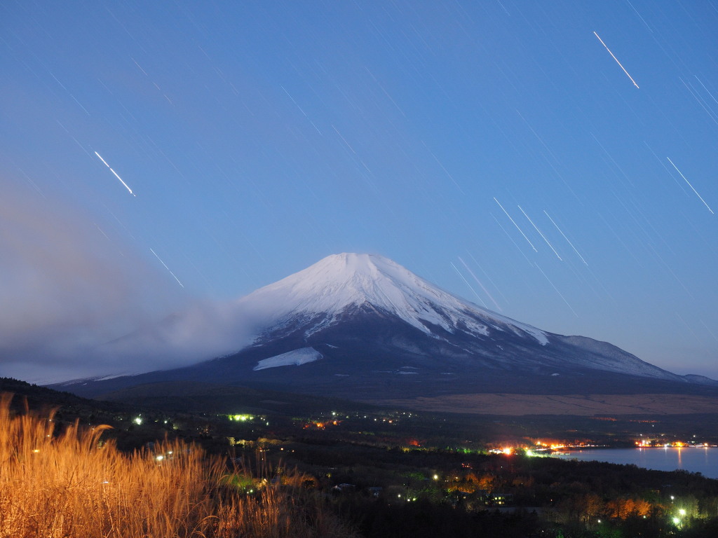 12/5 15���̕x�m�R