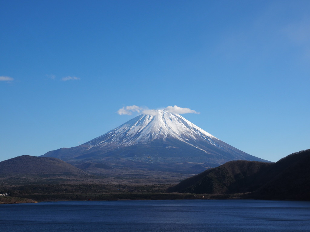 12/5 �_�ƕx�m�R(2)