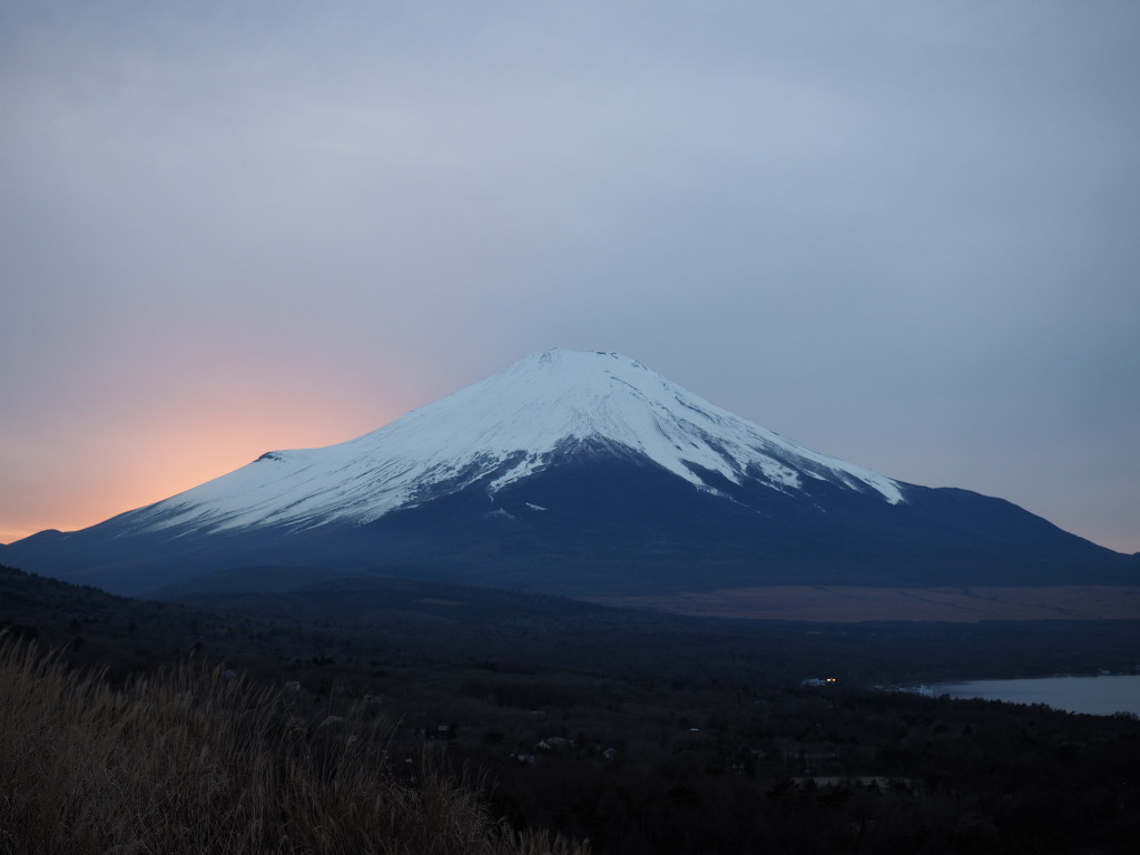 12/15 �[�Ă��̕x�m�R