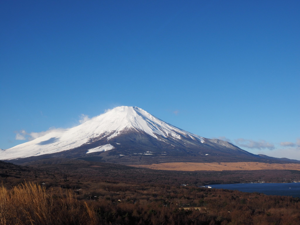 12/18 ���~�̕x�m�R