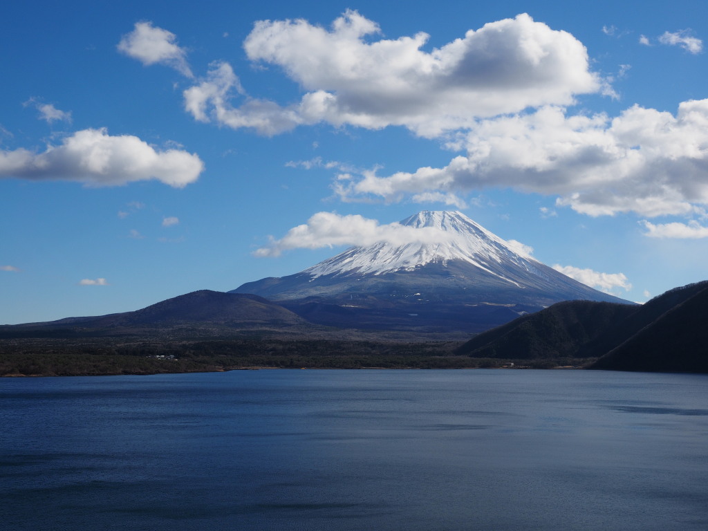 12/18 �_�ƕx�m�R