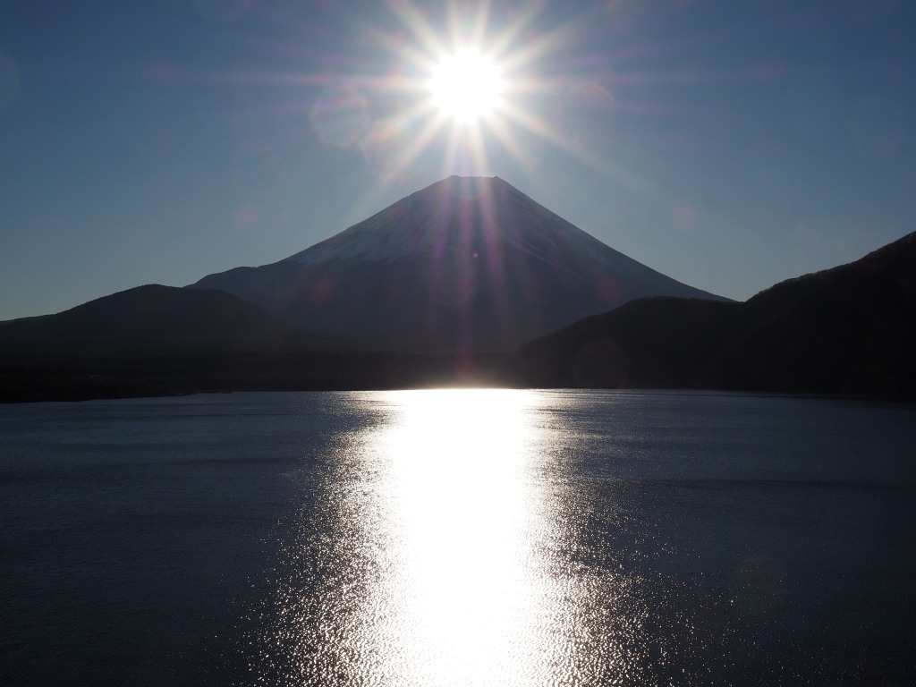 12/19 �x�m�R���ɏ��������z