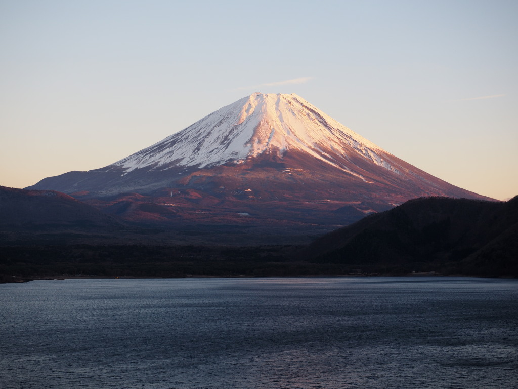 12/19 �[�Ă��̕x�m�R