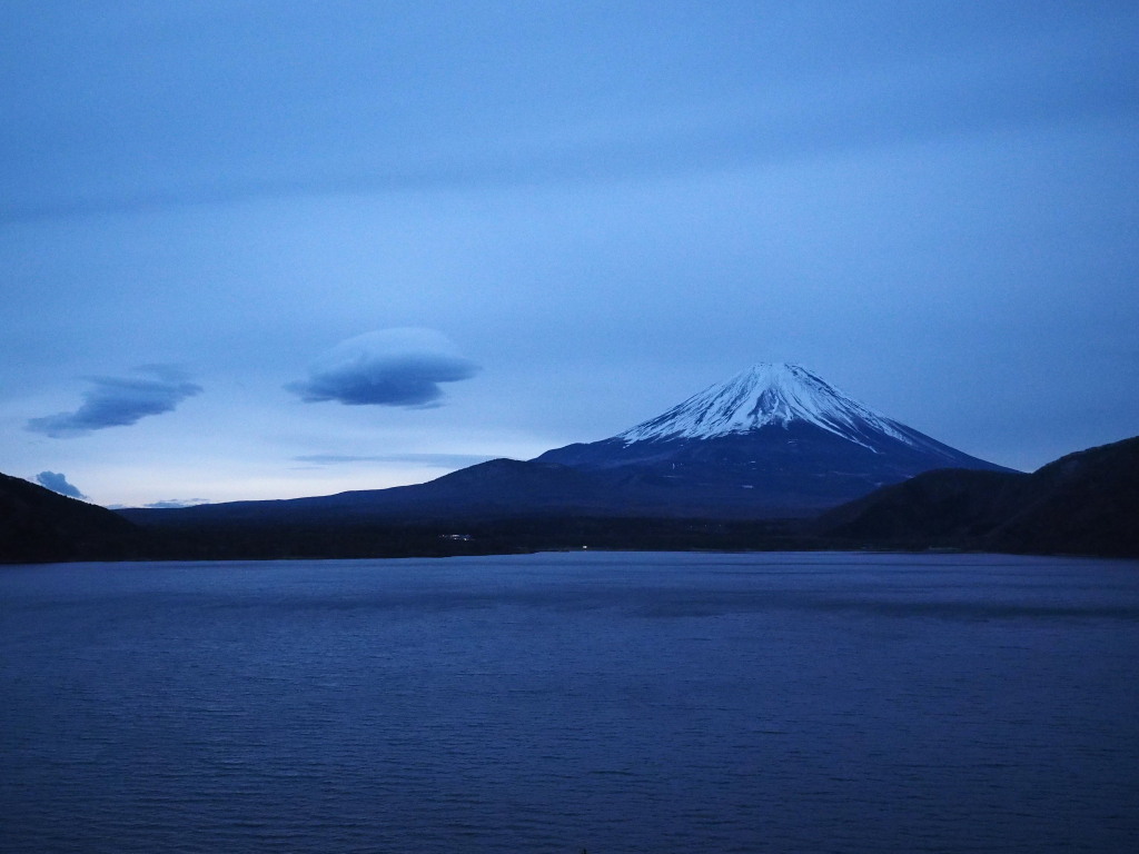 12/20 �_�ƕx�m�R