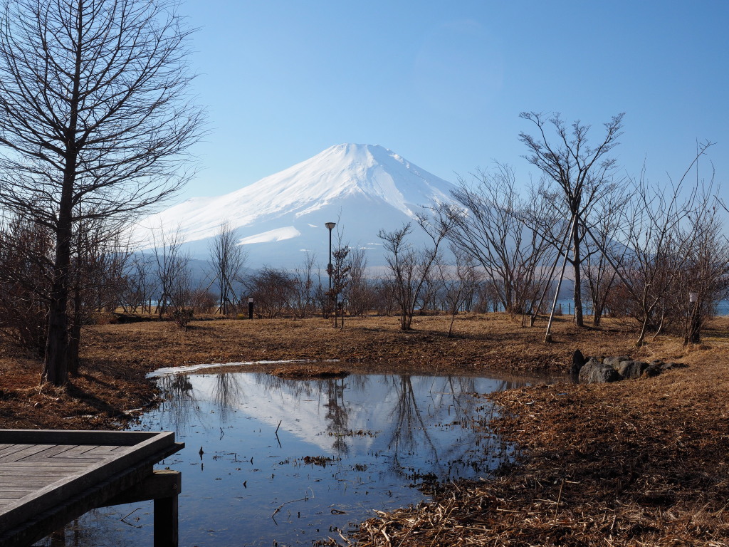 1/5 �L�����̋t���x�m