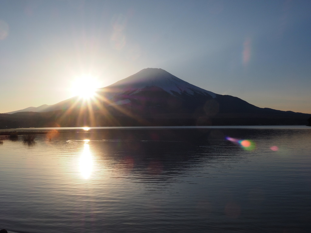 1/5 ���̓���̕x�m�R