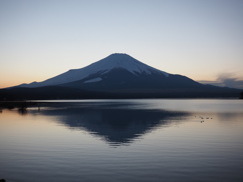 1/5 �L��������̋t���x�m