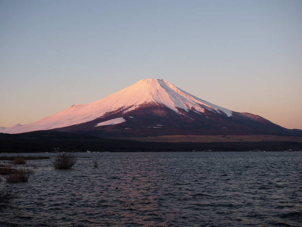 1/8 ��������g�x�m