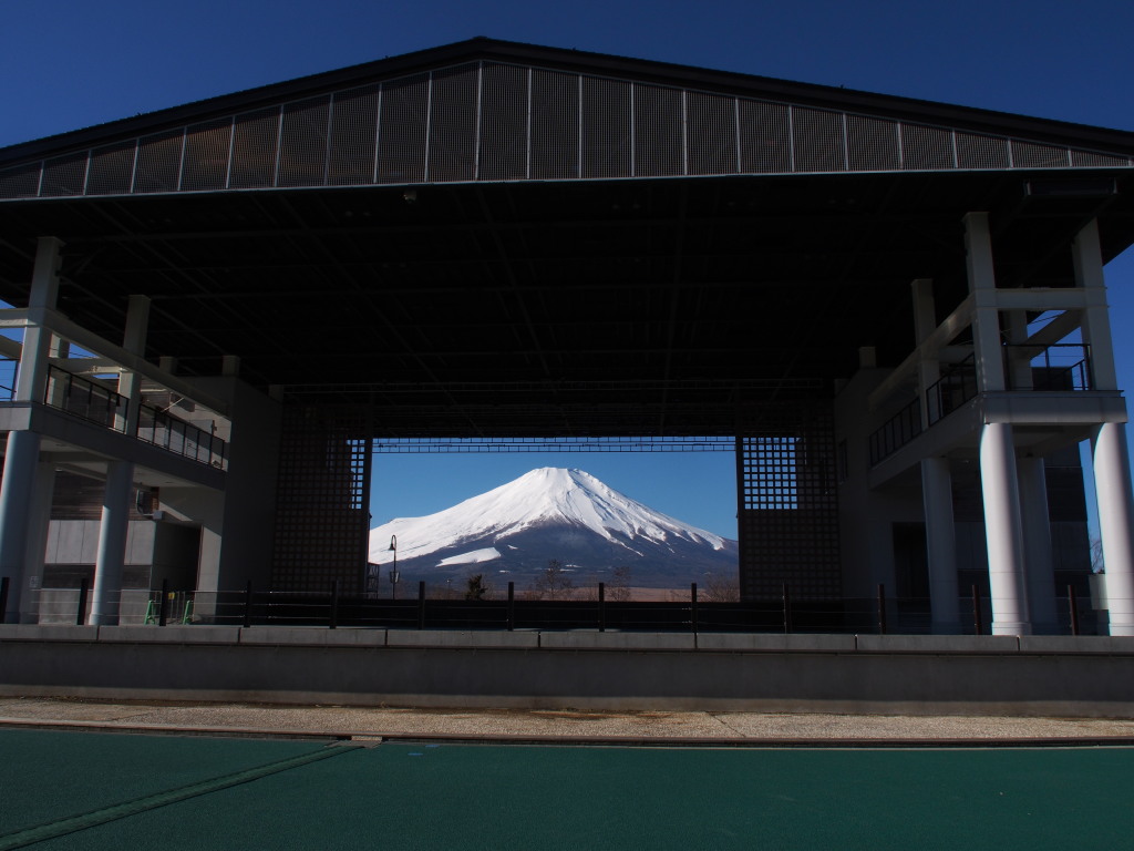 1/8 �L�����ƕx�m�R