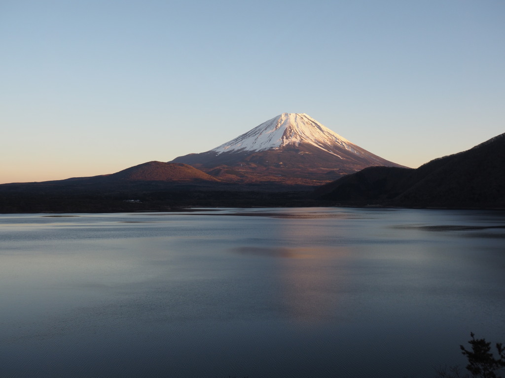 1/9 �[�Ă��̕x�m�R