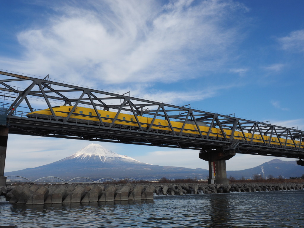 1/16 �h�N�^�[�C�G���[�ƕx�m�R