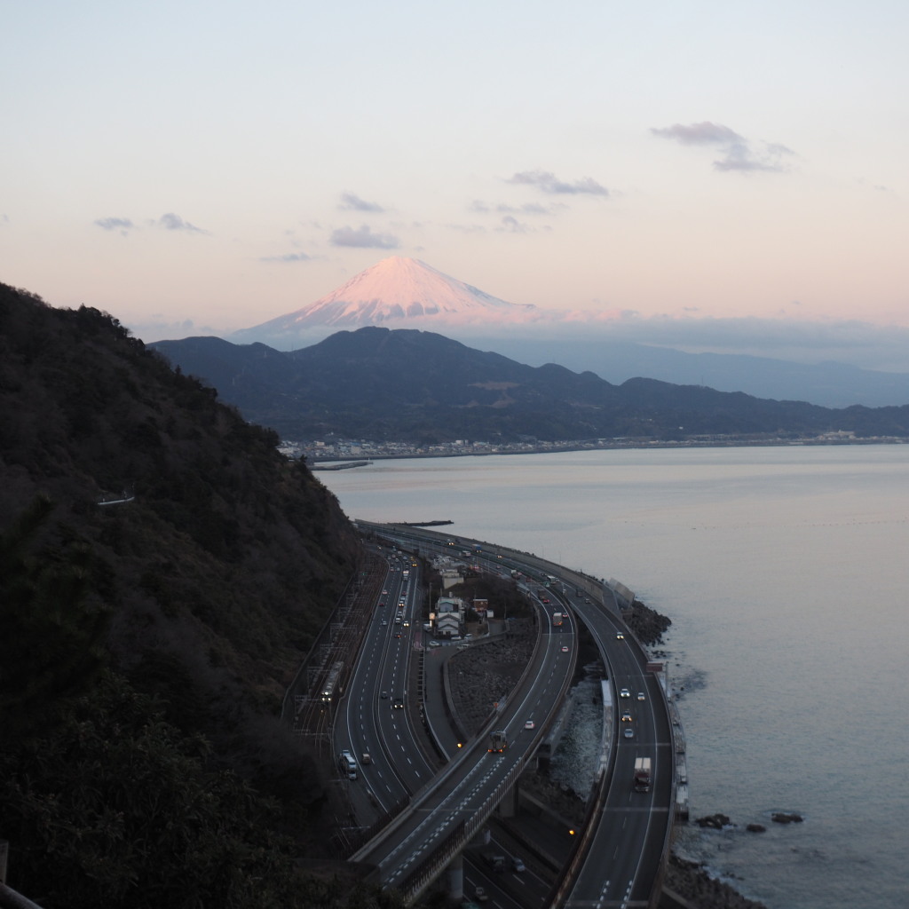 1/16 �F�^������̕x�m�R