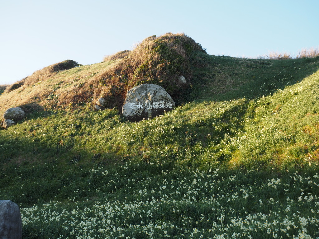 1/18 �ܖ؍�̐���