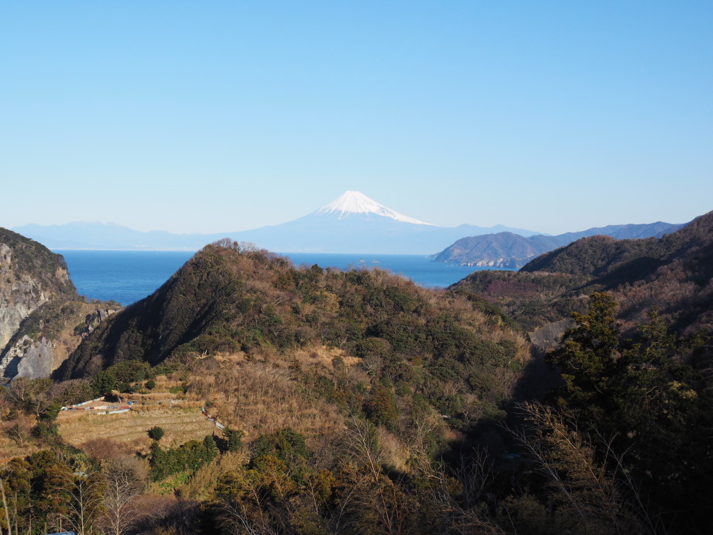 1/18 �_������̕x�m�R