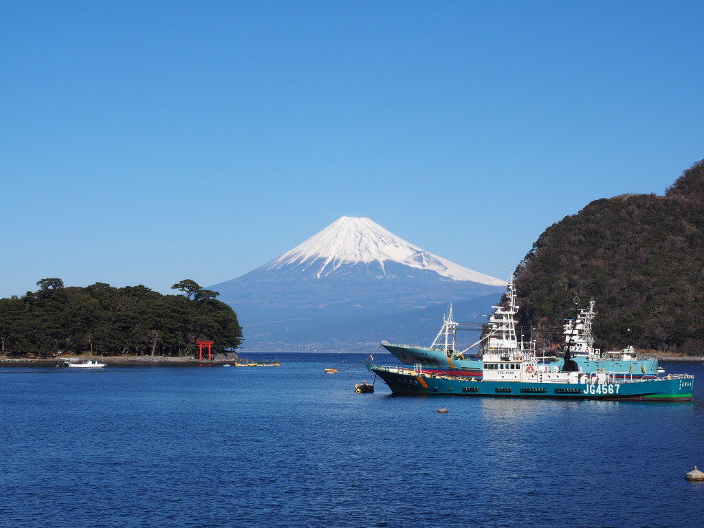 1/18 ��l�`����̕x�m�R